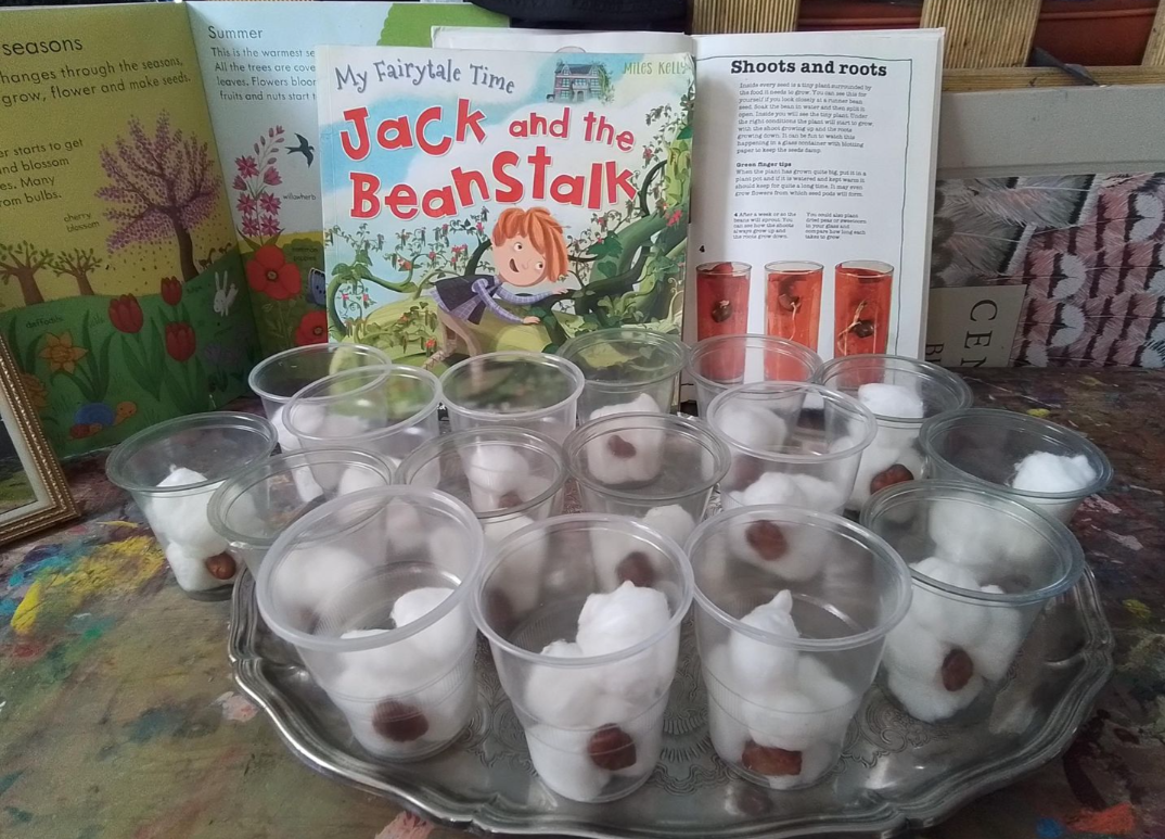 Children haveing fun growing beanstalks to mirror the jack and the beanstalk story