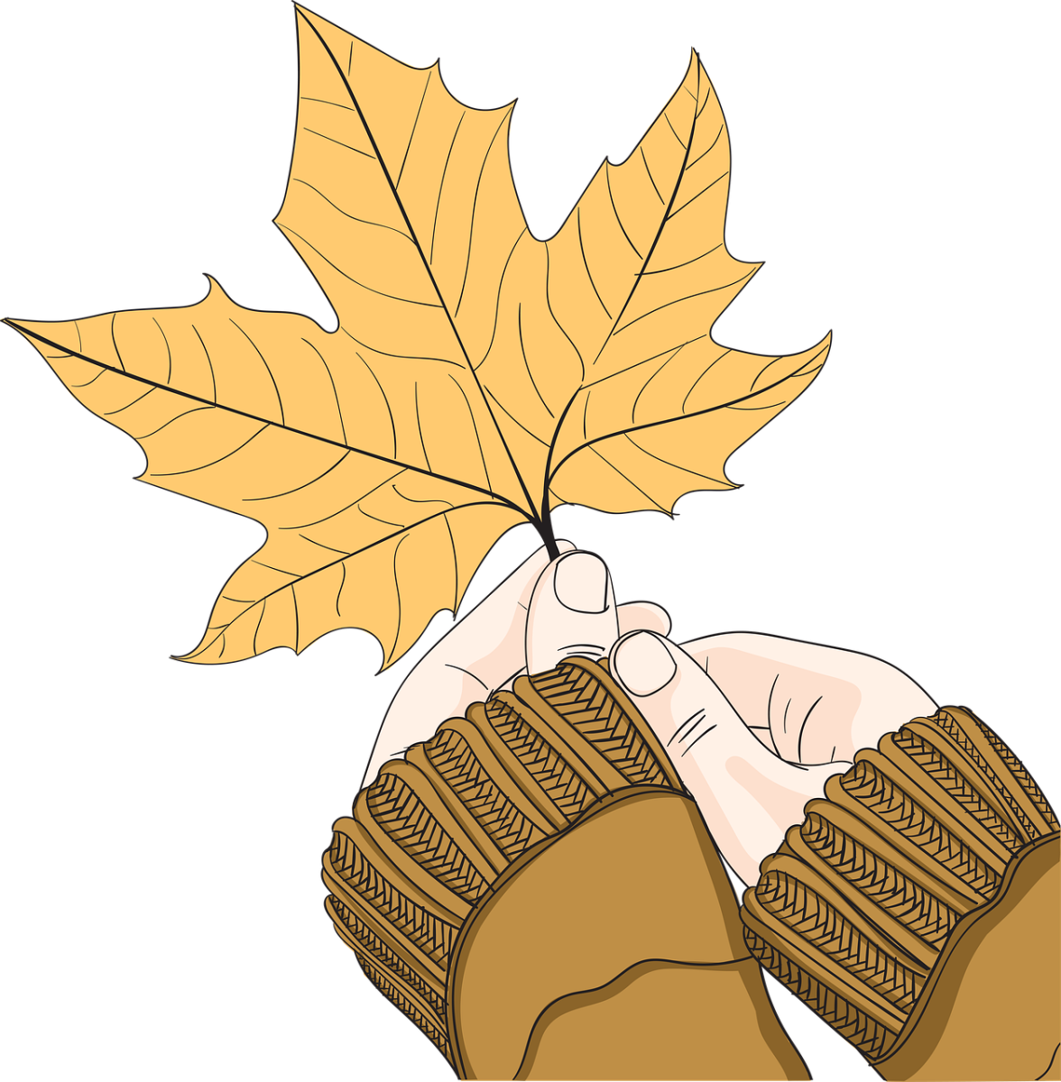 maple, leaf, hands, yellow leaf, natural, autumn, nature, sharing, caring, nurture
